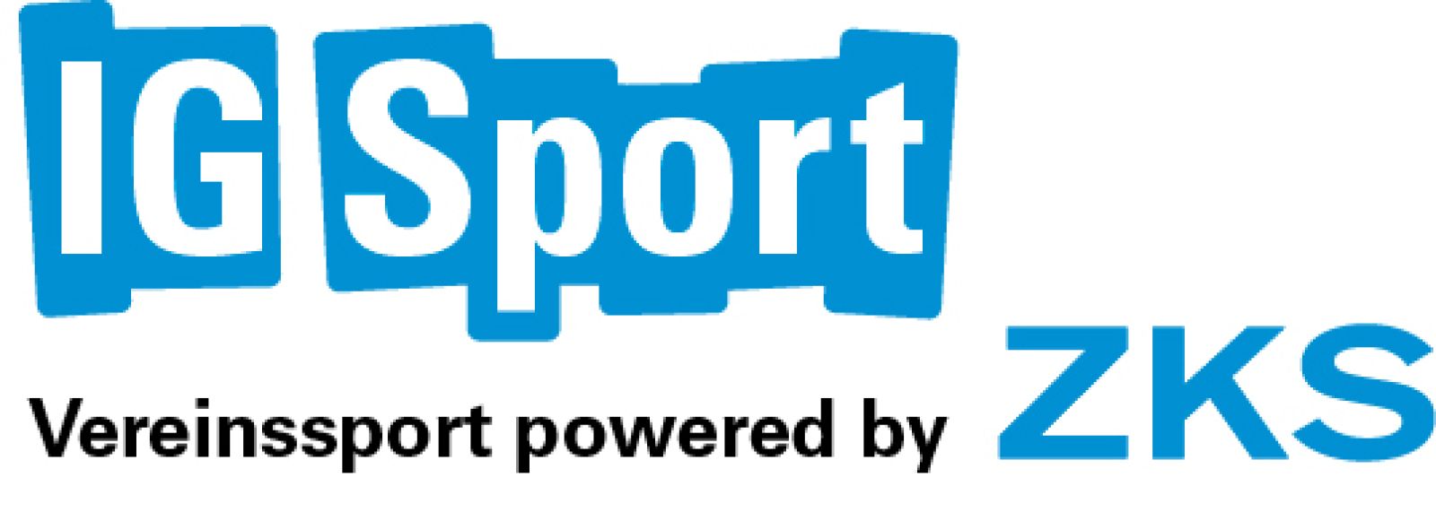 Logo IG Sport